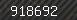 Security number